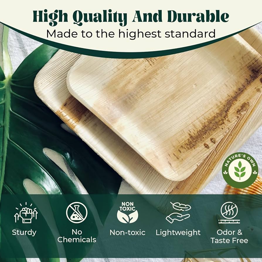 Amazon.co.jp: Nature's Own パームリーフプレート 使い捨て竹皿